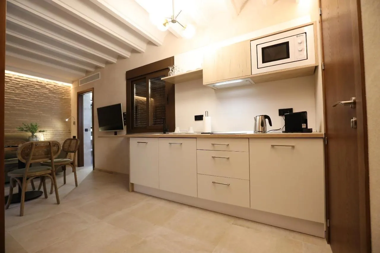 Aparthotel Casa Senorial Del Siglo XVIII Sevilla Spanien